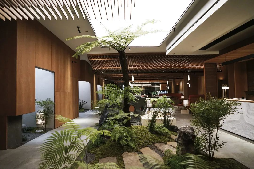 对话陈天福、向东：在“守正”与“创新”中寻找平衡点，打造川菜底蕴