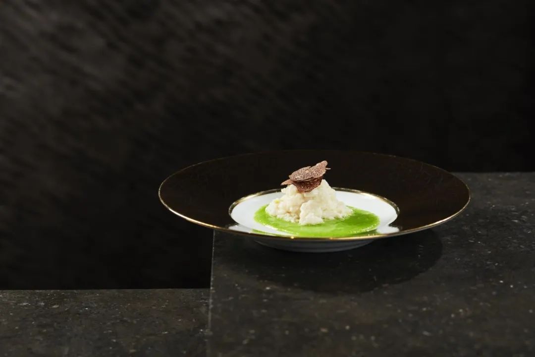 对话陈天福、向东：在“守正”与“创新”中寻找平衡点，打造川菜底蕴