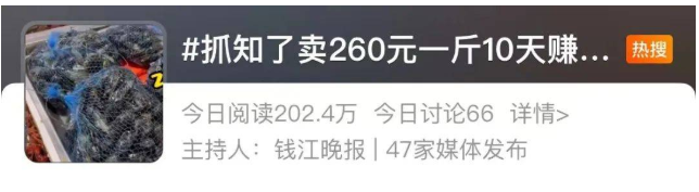 400元一斤的知了被卖疯了，昆虫美食成餐饮业的新机遇？