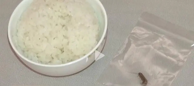 是个狠人！北京一男子口含蟑螂向多家餐饮店敲诈勒索