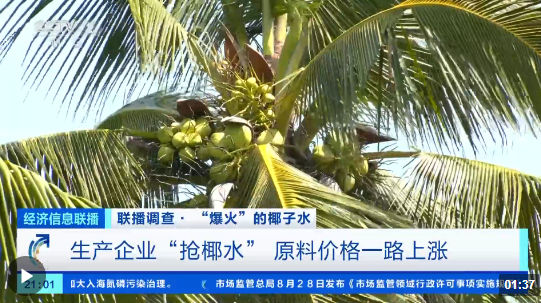 价格暴涨4000%，，还供不应求！椰子水怎么这么火？