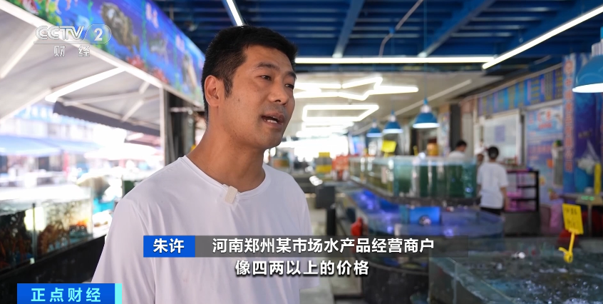 大降价！有海鲜一斤便宜20元，1000多斤梭子蟹7小时卖光！