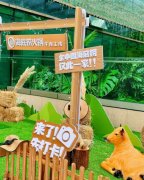 4小时配送，明档现切！海底捞首家牛肉工坊来了