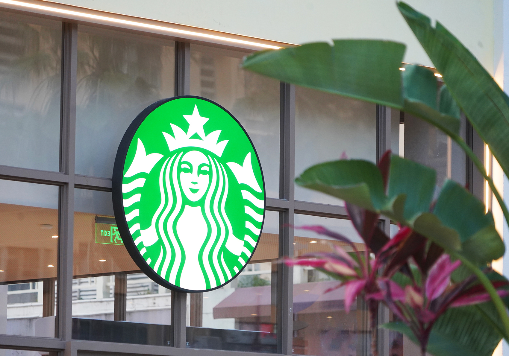 冲上热搜！星巴克App崩了，客服回应：已抢修成功