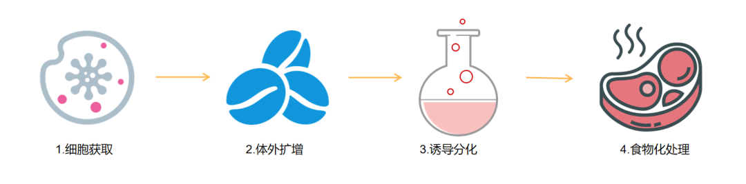 核污水持续排放30年，“人造海鲜”的机会来了？