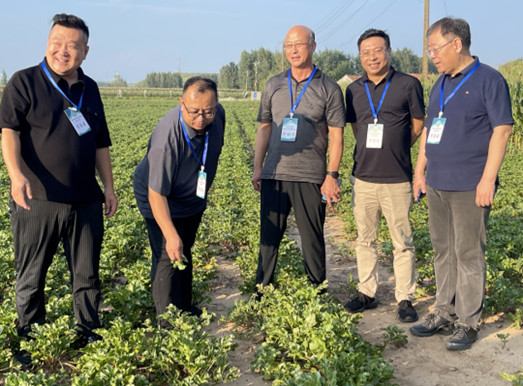 高炳义：从田园到餐桌，生态食材是美食之本