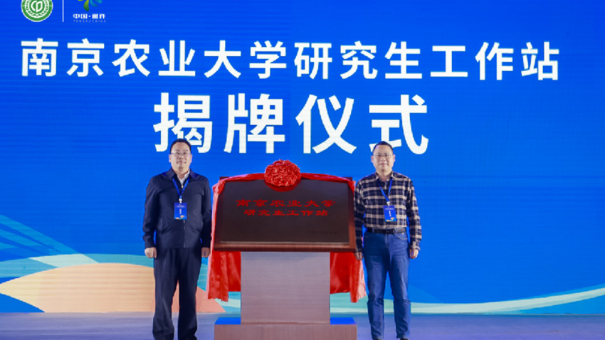 一碗粉做出大产业 2023中国（通许）第二届酸辣粉行业大会圆满召开