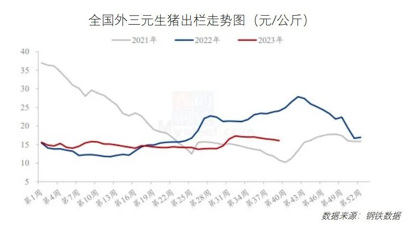 鸡鸭价格震荡下行！10月最新餐饮食材采购行情报告来了