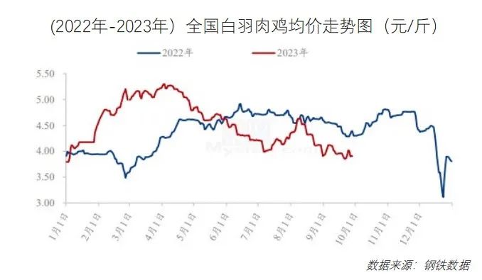 鸡鸭价格震荡下行！10月最新餐饮食材采购行情报告来了