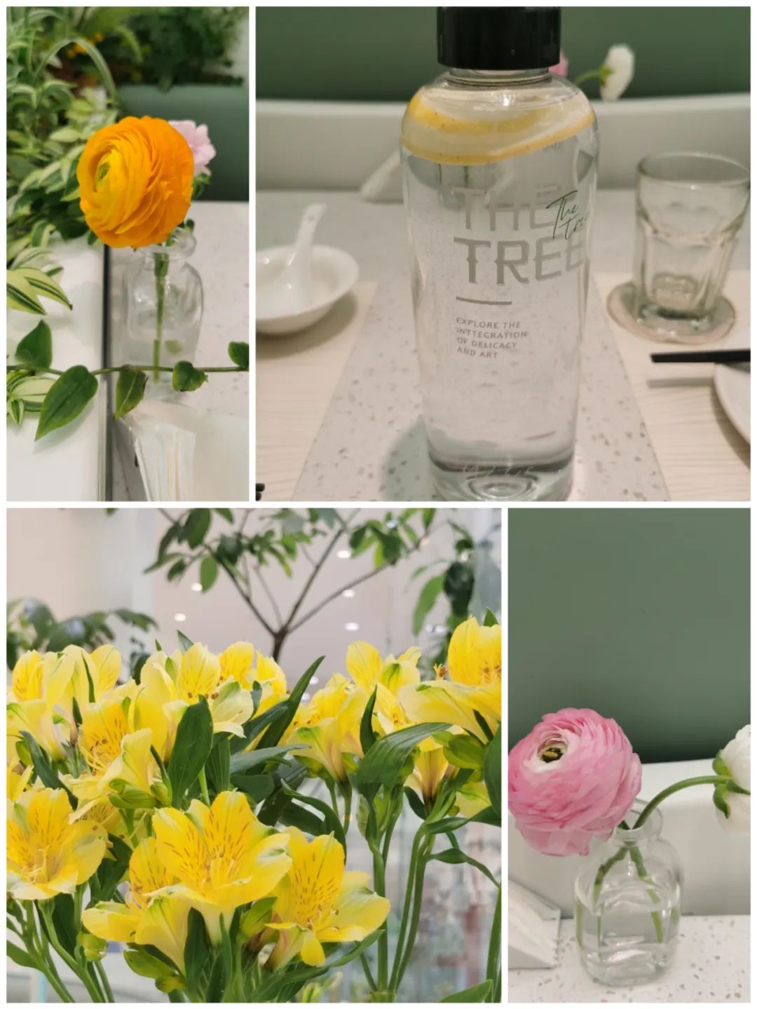 The Tree，让所有女生都喊“ 哇塞 ”的餐厅