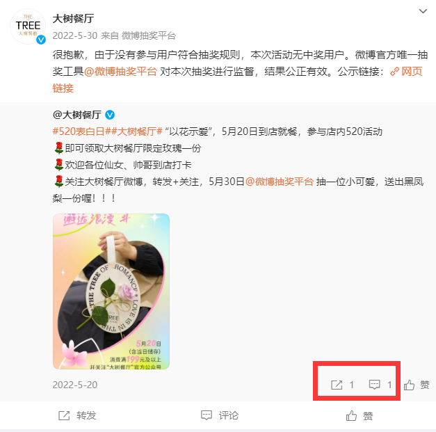 The Tree，让所有女生都喊“ 哇塞 ”的餐厅