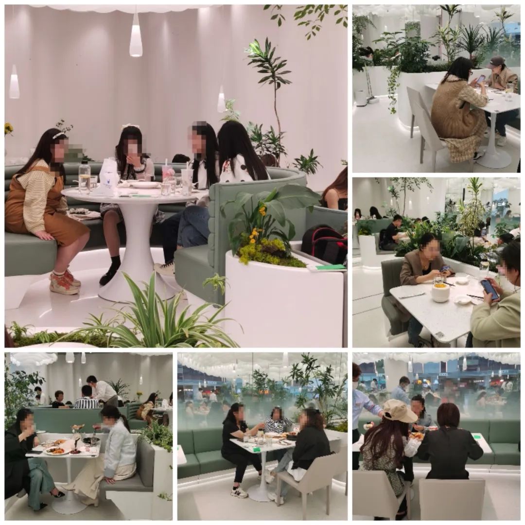 The Tree，让所有女生都喊“ 哇塞 ”的餐厅