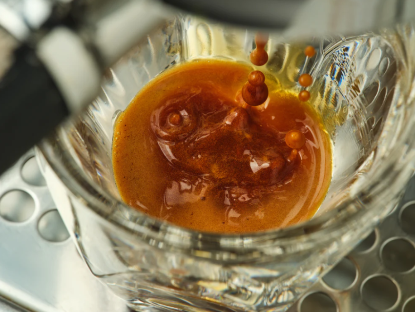 每喝一口都是在拯救地球？无豆咖啡来了