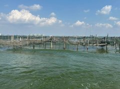 你与“大闸蟹自由”的距离还有三步：稳价、打