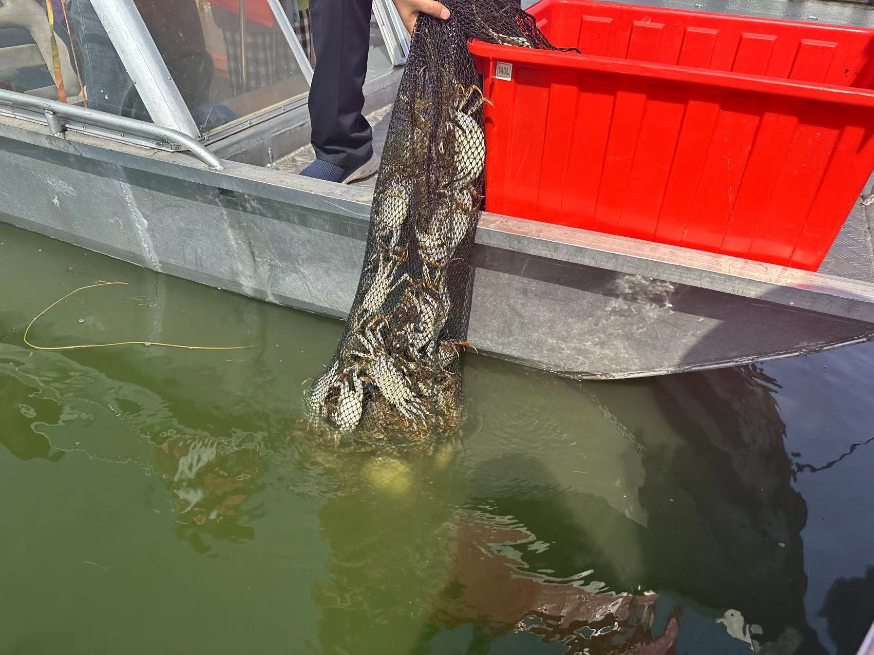 你与“大闸蟹自由”的距离还有三步：稳价、打假、行业变革