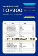 商业特许经营Top300名单首次发布 挪瓦咖啡上榜