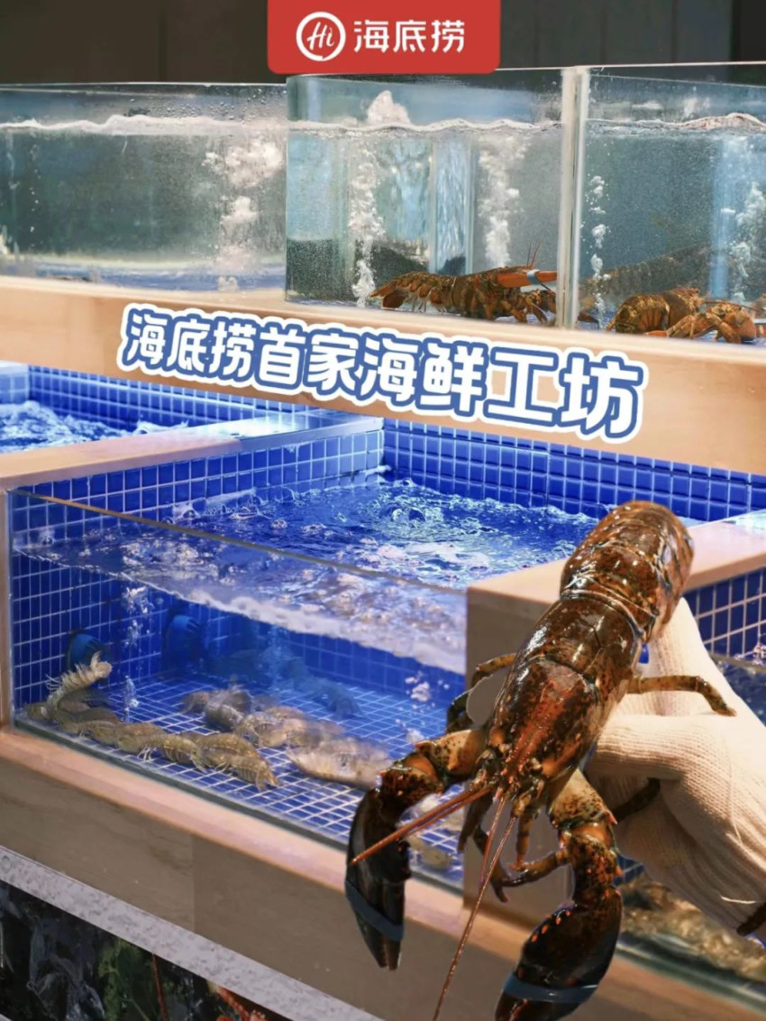 ​海底捞首家海鲜火锅门店落地；Tims中国将推更多小型门店