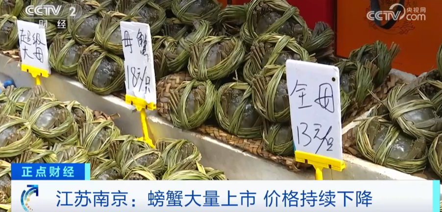 10元就能买一只，螃蟹跌出“白菜价”，销售商：“一天大概卖两三千只”