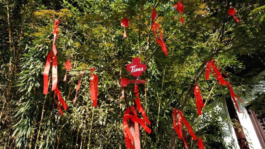 Tims首家寺庙店、奈雪茶院、超级鸟局...10月特色新店来了！