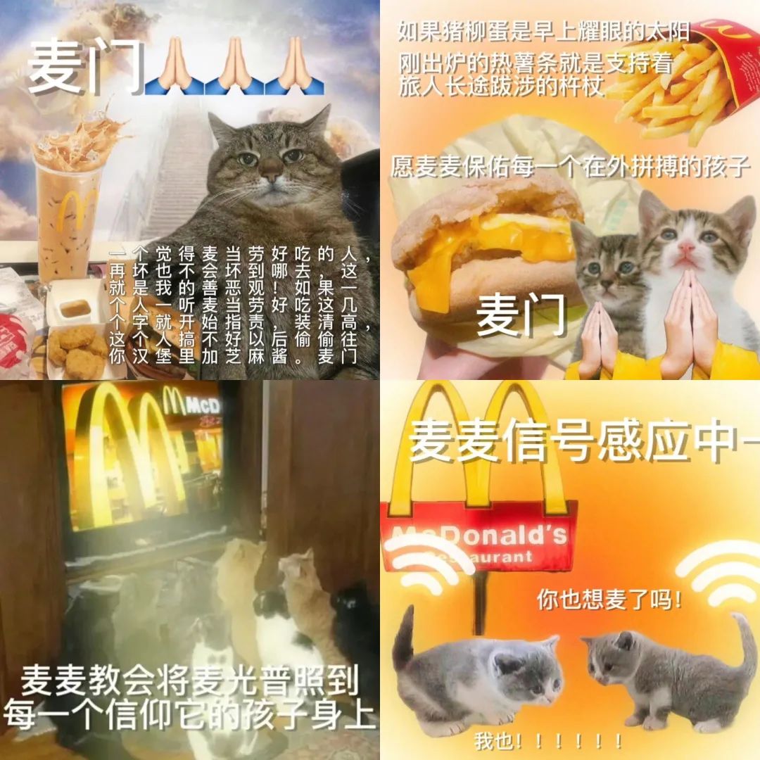 疯抢麦当劳猫窝，“麦门”又欢腾了｜营销观察
