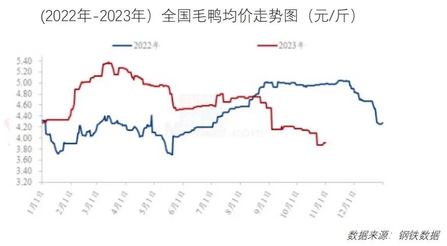 鸡鸭价格震荡下行!免费下载,最新食材采购行情报告