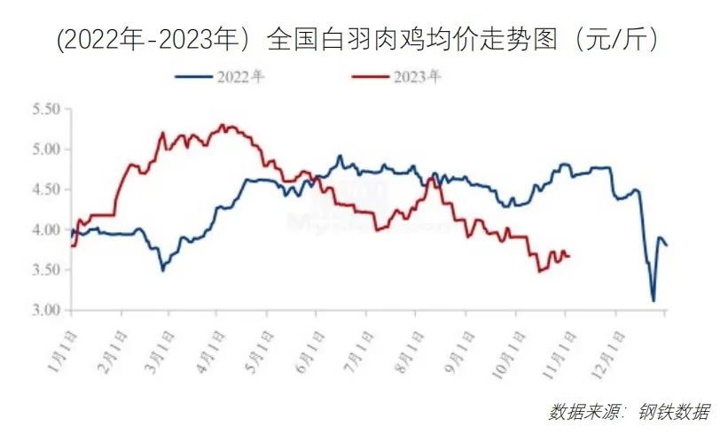 鸡鸭价格震荡下行!免费下载,最新食材采购行情报告