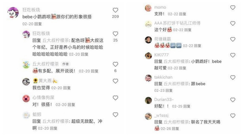 丘大叔梦幻联动小鹦鹉BEBE，差异化破圈，再现联名玩法新突破