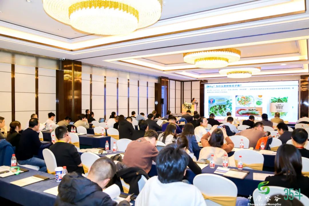 中原农谷·2023国际未来农业食品百强大会成功举办