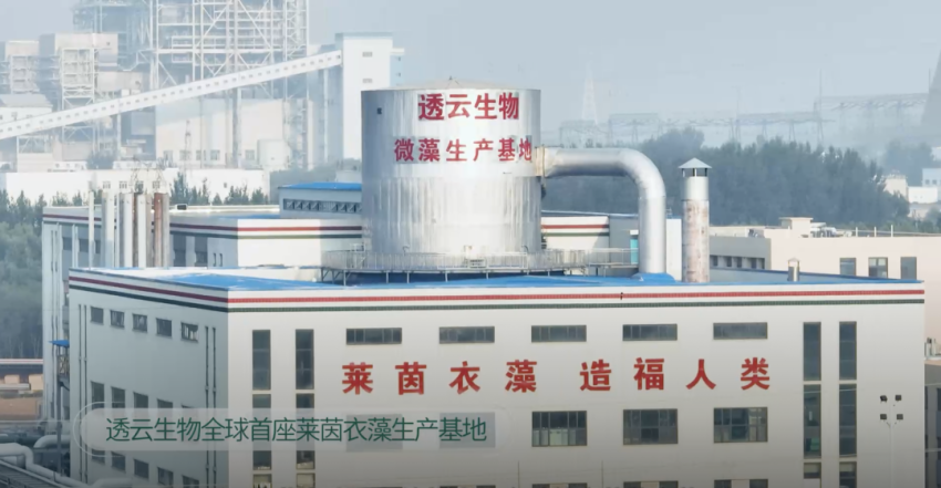 超100家连锁餐饮品牌都在用，这款新原料正风靡餐饮业