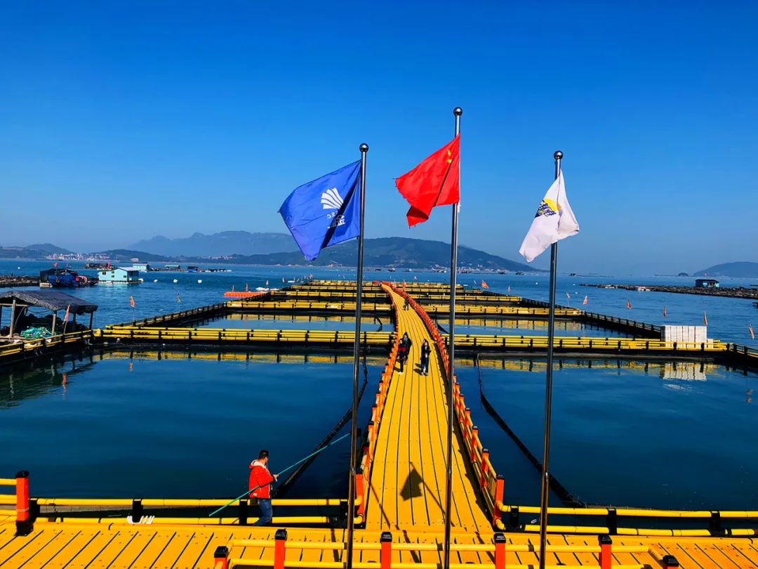 最好的食品企业创始人，都在登山路上