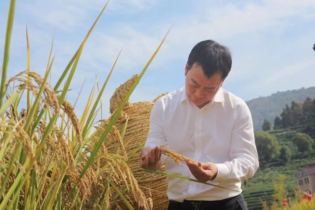 最好的食品企业创始人，都在登山路上
