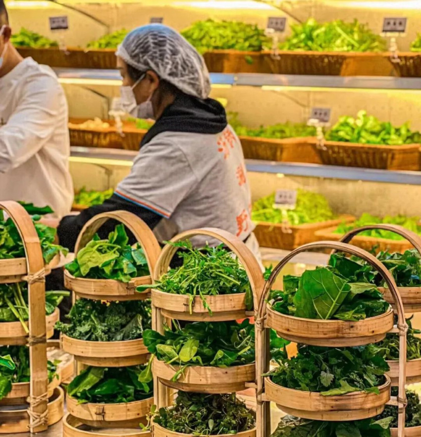 2024爆款摆盘预定！这5类让顾客疯狂种草