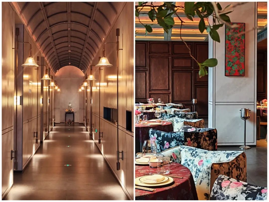 备受业内追捧的明星主厨段誉，只想当个好厨师