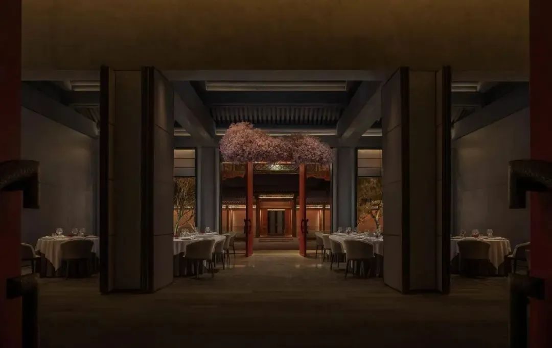 备受业内追捧的明星主厨段誉，只想当个好厨师