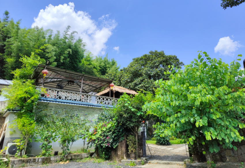 倒闭8万多家，农家乐要“凉”了？