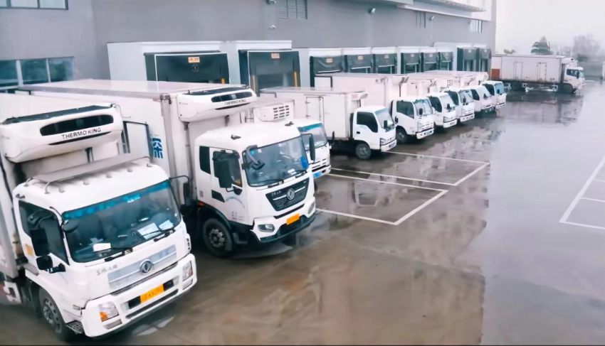 从深圳地标性品牌到布局全球市场,10岁的探鱼愈战愈勇