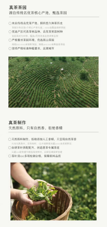 新营养革命时代的新茶饮未来趋势