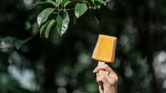 钟薛高五岁半：荣于贵，困于贵