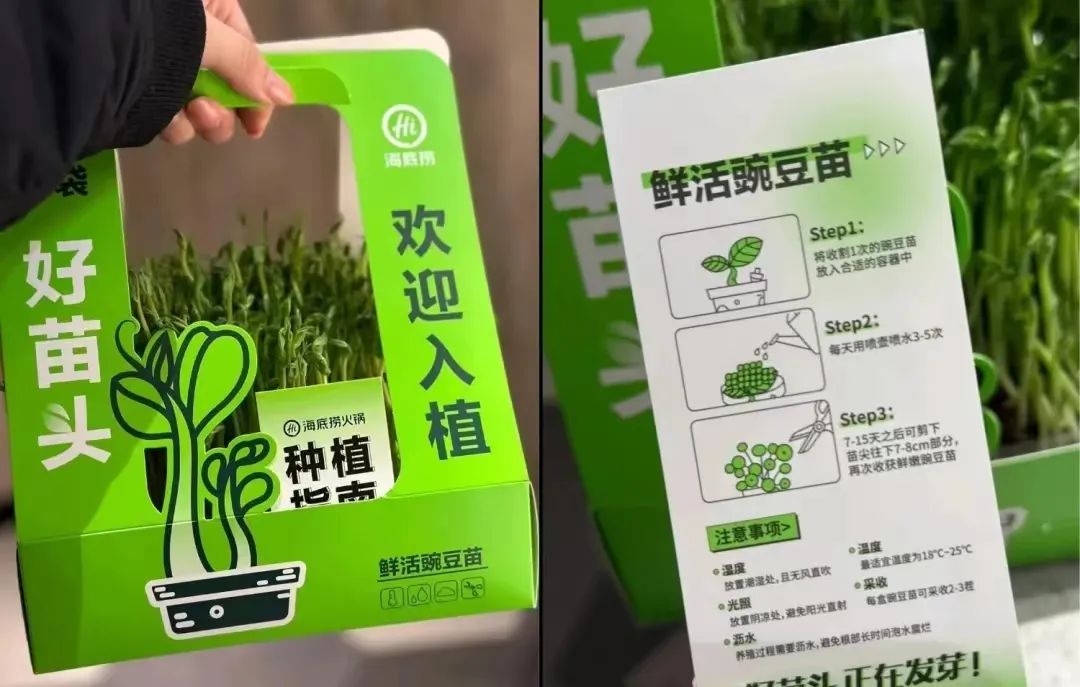 2023火锅“八大爆款菜”盘点！透露明年新品风向！