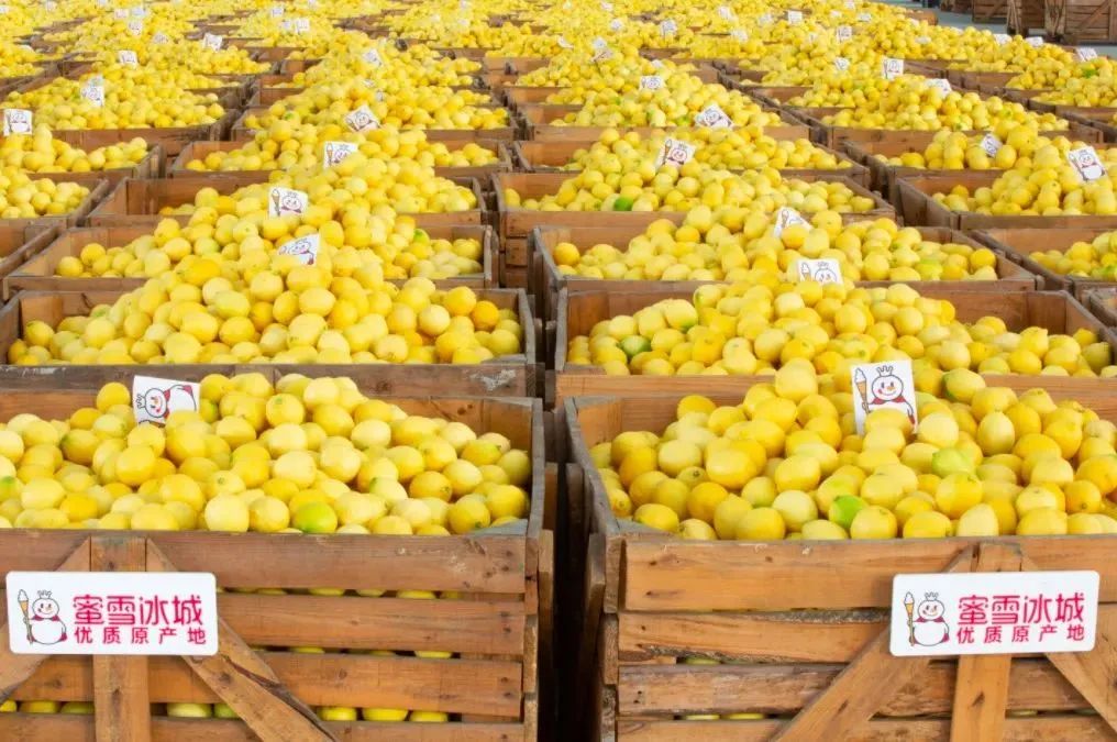 蜜雪冰城们在靠卖原料、设备赚钱，供应商们却撤回IPO