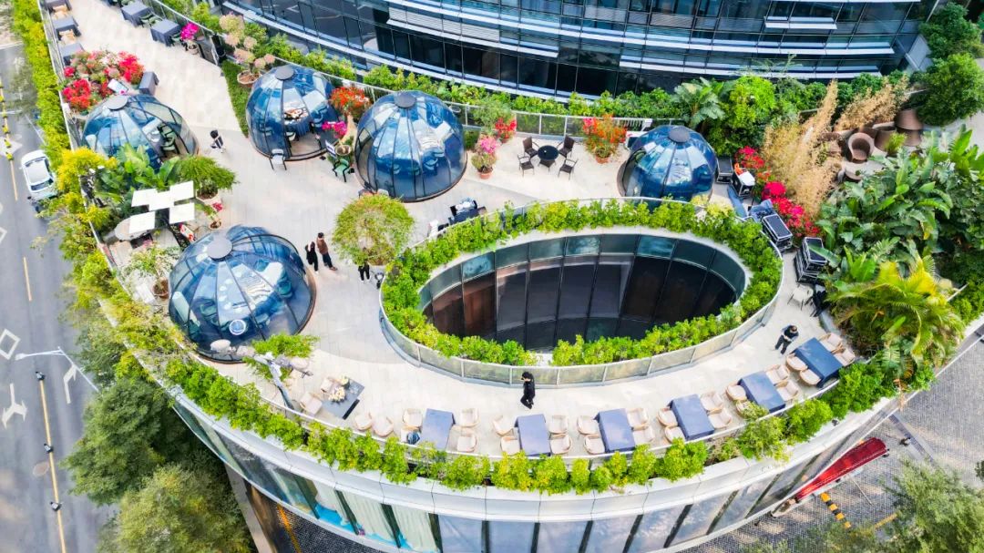 隐藏在CBD中的空中花园,沅江水·湖南家宴品牌升级会成功举办!