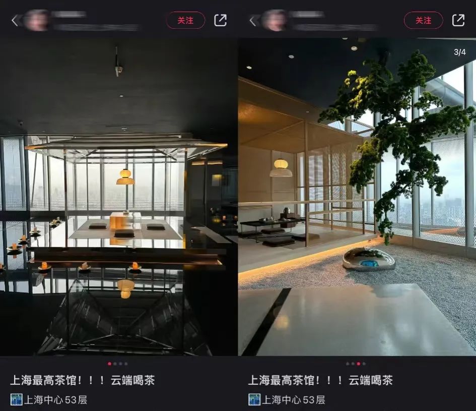 2024年的上海，至真园的生意都是被谁抢走的？｜商业Friday