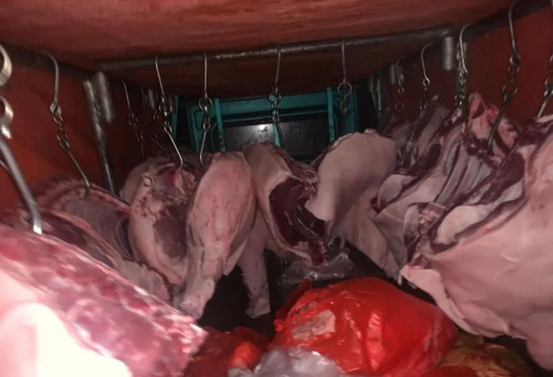 每日上千斤无检疫猪肉流向市场！记者暗访私屠滥宰作坊