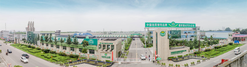 中国泡菜行业隐形冠军：吉香居发展与行业启示