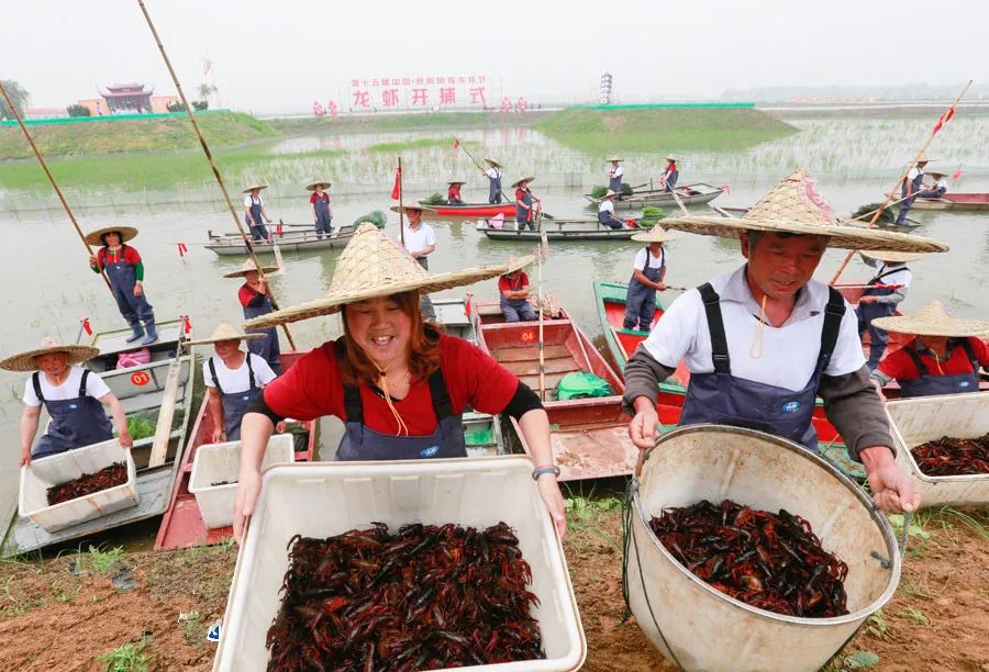 价格跌破10元/斤，小龙虾餐厅如何俘获越来越精明的消费者？