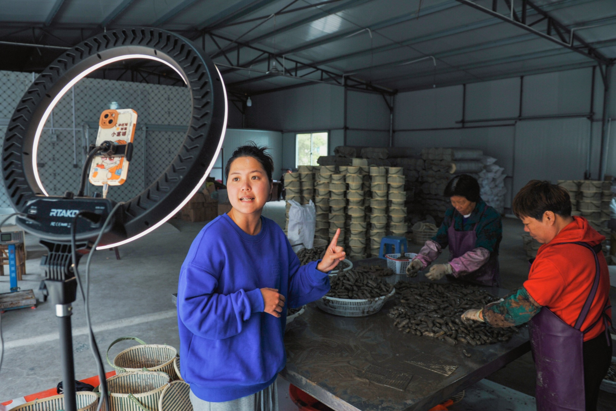一线观察|“小蛏子”如何做成“大产业”
