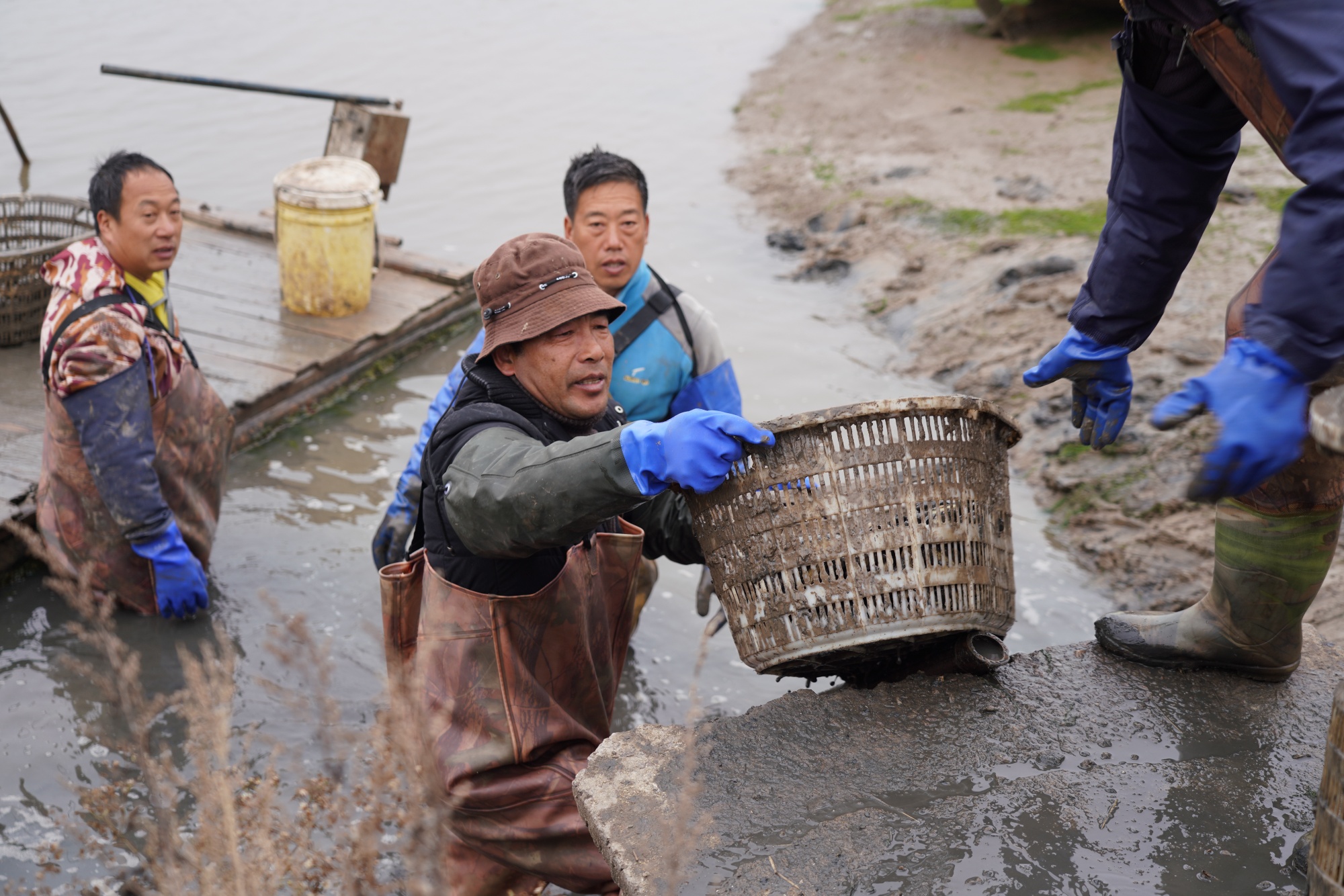 一线观察|“小蛏子”如何做成“大产业”