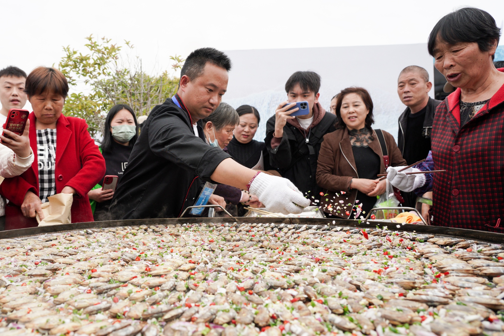 一线观察|“小蛏子”如何做成“大产业”