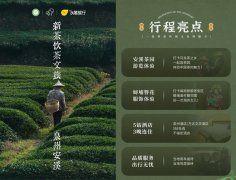 喜茶联合中国茶叶流通协会、飞猪发布6条新茶饮