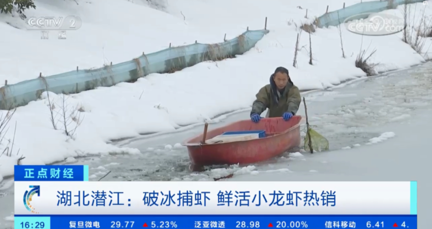 低至5元一斤、均价接近腰斩!今年没人疯狂“炫”小龙虾了?